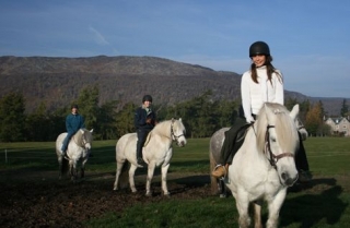  Hay varias caminamarras disponibles 